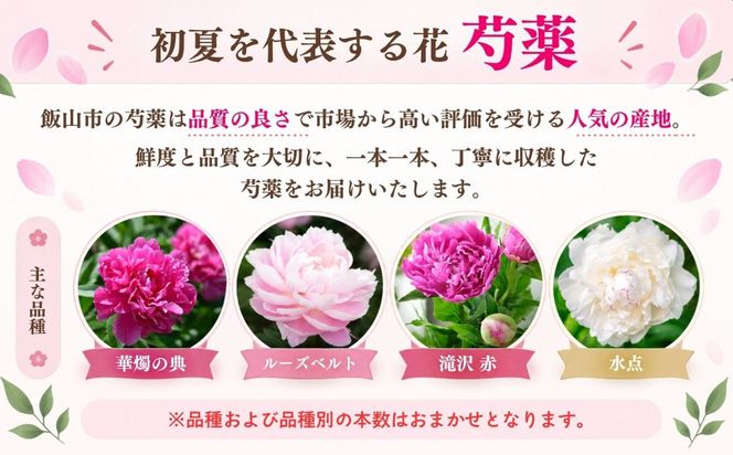 【先行予約】芍薬 切花 おまかせ2〜3品種 25本セット 《出荷時期：2027年5月上旬より》木内ファーム（Ca-001) 