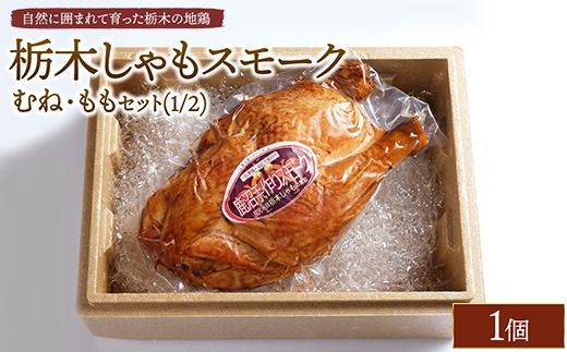 yȖ،szȖ؂X[N@ނˁEZbgi1/2j@ւ̔zs