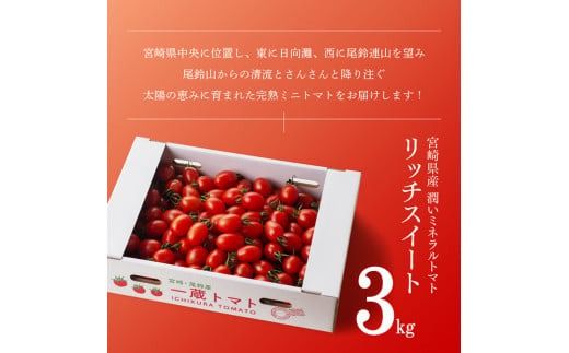 【6ヶ月定期便】【訳あり】宮崎県産ミニトマト 潤いミネラルトマト「リッチスイート」3kg ※初回発送は令和6年12月※ 【 九州産 川南町産 ミニトマト 新鮮 ヘルシー とまと 野菜 】 [D07202t6]