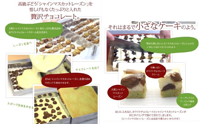  シャインマスカットレーズンショコラ＆生クラシックショコラ 019-001