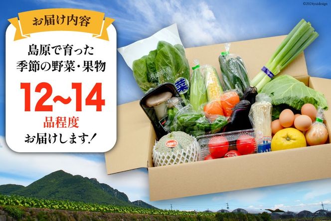 【CF01】BE236 旬の野菜・フルーツ (12〜14品目)・卵 (6個) おまかせ セット【 野菜 果物 卵 やさい くだもの 果物 タマゴ たまご 詰め合わせ フードショップ江戸屋 長崎県 島原市 】