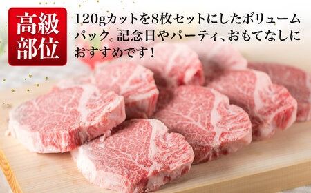 【全3回定期便】【厚切ヒレステーキ】120g×8枚 A4ランク 博多和牛 糸島市 / 糸島ミートデリ工房 [ACA290] ステーキヒレ ヒレ肉フィレ ヘレ牛肉赤身黒毛和牛国産博多和牛