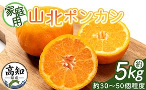 ぽんかん 5kg(約30～50個程度) わけあり 山北ポンカン - 果物 フルーツ 柑橘類 ぽんかん ミカン 蜜柑 訳アリ わけあり 生産者応援 甘い おいしい 美味しい 山北みらい yk-0081