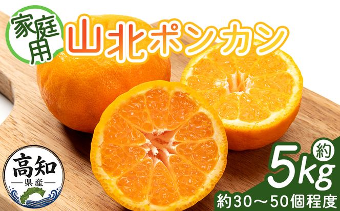 ぽんかん 5kg(約30～50個程度) わけあり 山北ポンカン - 果物 フルーツ 柑橘類 ぽんかん ミカン 蜜柑 訳アリ わけあり 生産者応援 甘い おいしい 美味しい 山北みらい yk-0081