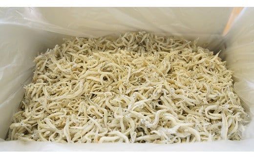 【数量限定】訳アリ しらす屋のしらす干し２kg 国産 海の幸 お鍋の後の〆の雑炊にも！ 魚介類 しらす シラス ご飯のお供 おつまみ しらす丼 グルメ ギフト 贈り物 やみつき 冷凍 H006-113