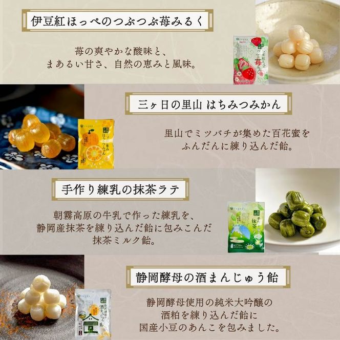 飴 10種 10袋 黒糖 げんこつ きなこ たんきり 氷砂糖 ニッキ 苺 はちみつ みかん 抹茶 酒まんじゅう アメ 個包装 おかし お菓子 おやつ 静岡県 藤枝市 甘信堂製菓