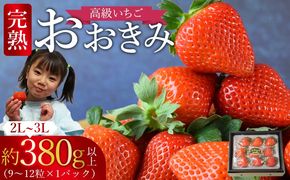 ＜高級いちご「おおきみ」（9～12粒×1パック約380g以上）＞2025年1月上旬～4月末迄に順次出荷【a0283_sn_x1】