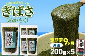 【定期便9ヶ月】ぎばさ(あかもく) 200g×5個セット 海藻 男鹿市 秋田県 [ぎばさ あかもく 海藻 磯の香り 強い粘り フコイダン フコキサンチン 高栄養価 食物繊維 シャキシャキ食感 秋田県 男鹿市]|23_ogn-240509