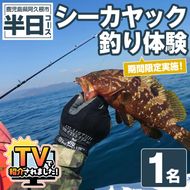 期間限定実施『パズル』オリジナル！シーカヤック釣り体験チケット(半日/1名) 阿久根 釣り シーカヤック アウトドア アクティビティ 自然 体験 ツアー チケット 海 マリンスポーツ 魚【パズル】akn098-03