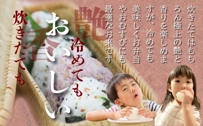 特選米100%!令和7年産さがびより(精白米) 10kg