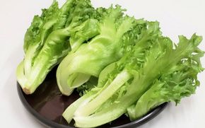 アノレタス（リーフレタス）新鮮シャキシャキ 栽培期間中無農薬低カリウムレタス 12袋×3ヶ月連続お届けセット【kkry-tkb0001】