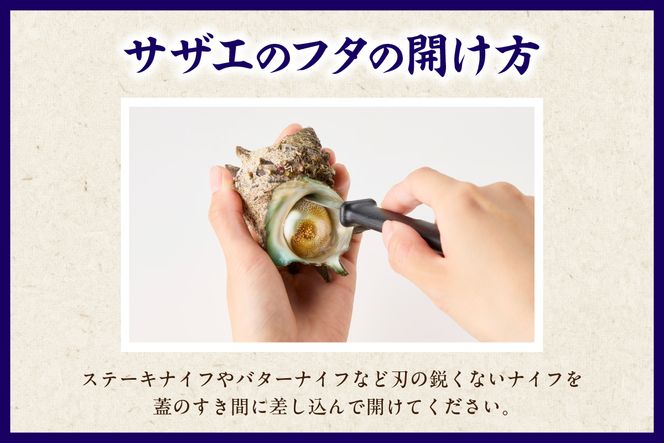 【兵庫県香住産 天然 活 サザエ 1kg（7～10個）冷蔵】香住で水揚げされた新鮮なサザエをお届け つぼ焼き 炊き込みご飯 サザエ飯 酒の肴 磯の香り 風味豊か さざえ 新鮮 天然 海鮮 大人気 夏休み BBQ バーベキュー キャンプ お盆 海 日本海 兵庫県 香美町 香住 柴山 宿院商店 33-19