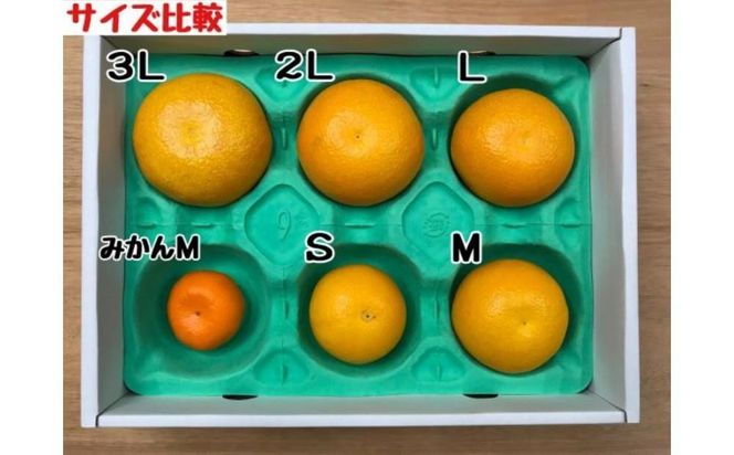 1・4月発送 全2回 定期便 はっさく マニア 貯蔵 ＆ 木成完熟 傷あり 二級品 4 ～ 6玉 手さげ箱 和歌山 有田 南泰園 BS184