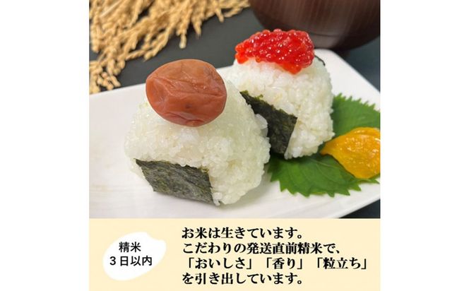 【令和8年産】【日本農業賞大賞】ひゃくまん穀3kg精白米 能美市 お米 精米銘柄米 精米したて 一等米 172111_AE002
