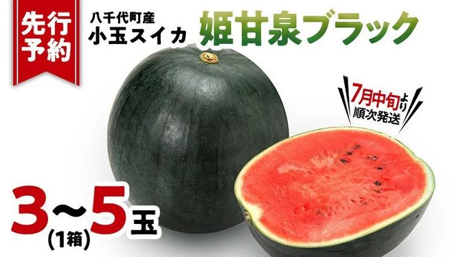 y錧㒬zys\ 2026N7{z ʃXCJ PÐubN 1iR`5ʓj㒬Y   XCJ Z  ʕ t[c  Yn 錧 [AV003ya]