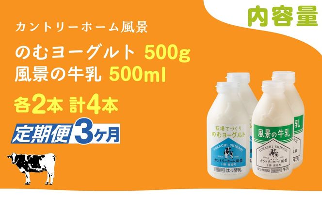 【定期3ヶ月】のむヨーグルト500g 風景の牛乳500ml 各2本 SKB104
