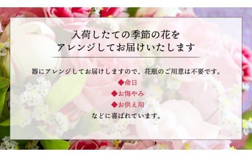 季節のお花の仏花アレンジメント 【選べるサイズと回数】ミニ S M L LL 単品 定期便 6回 12回 アレンジメント 花 お花 仏花 生花 お供え ギフト プレゼント 命日 月命日 [CT025ci00]