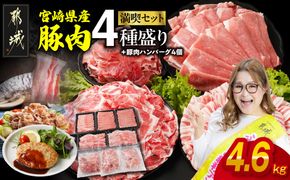 宮崎県産豚肉たっぷり4.6kgセット_AC-N202-ESH