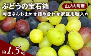 【2026年9月～発送】ぶどう ぶどうの宝石箱  岡田さんおまかせ詰め合わせ家庭用粒入れ約1.5kg 山ノ内町産 ブドウ 葡萄