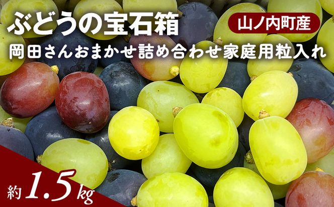 【2026年9月～発送】ぶどう ぶどうの宝石箱  岡田さんおまかせ詰め合わせ家庭用粒入れ約1.5kg 山ノ内町産 ブドウ 葡萄