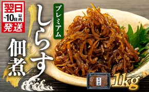 プレミアム 釜揚げ しらす 佃煮 1kg(100g×10パック) 小分け 減塩 無添加 無着色 冷凍 愛知県 南知多町 ご飯 ごはん 丼 料理 国産 カネ成 シラス 人気 おすすめ シラス しらす しらすごはん shirasu sirasu SIRASU 人気シラス