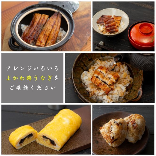 アラジン グラファイトミニグリラー 緑 国産 よかわ錦うなぎ 蒲焼き 約250g セット CAG-MG7AG