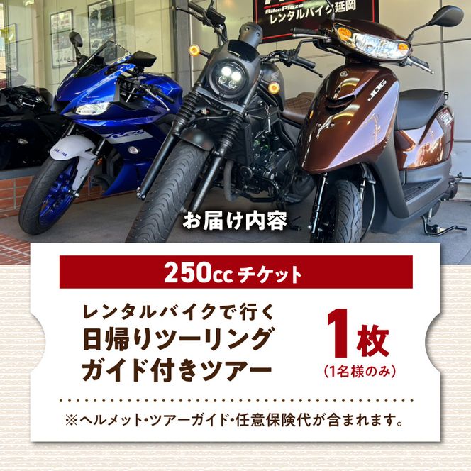 レンタルバイク（250cc）でガイド付き日帰りツーリングツアー N0215-YG0253