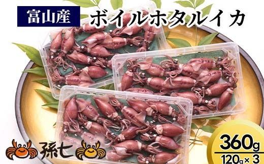 【2026年3月中旬以降発送】富山産ボイルホタルイカ360g（120g×3）※沖縄・離島への配送不可 ※2026年3月中旬～5月中旬頃に順次発送予定