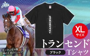 【トランセンド】Ｔシャツ 選べる４サイズ【XL】 BRTV150-4