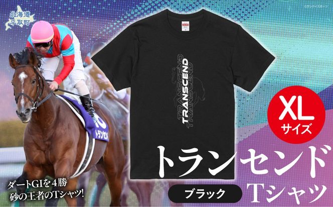 【トランセンド】Ｔシャツ 選べる４サイズ【XL】 BRTV150-4