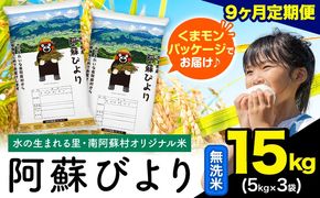 【9ヶ月定期便】阿蘇びより 無洗米 15kg (5kg×3袋)《お申込み翌月から出荷》 ｜国産米 人気米 熊本県産米 お米---mna_abytei_15kg_301500_mo9_m---