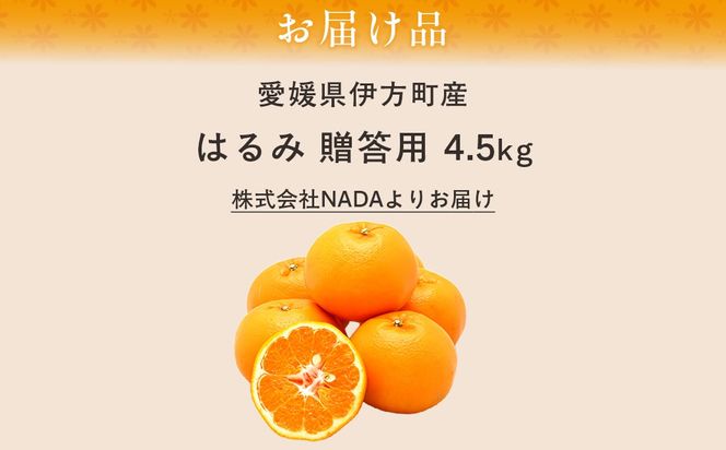 【先行予約】【農家直送】愛媛県産 はるみ 贈答用 4.5kg（2026年1月中旬〜2月上旬頃発送予定） IKTC009 