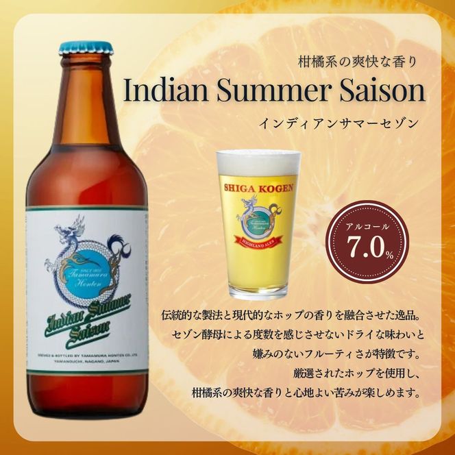 ANDドリンク6本 父の日 定期便 6ヶ月 志賀高原ビール6本セット ※WEB申込限定