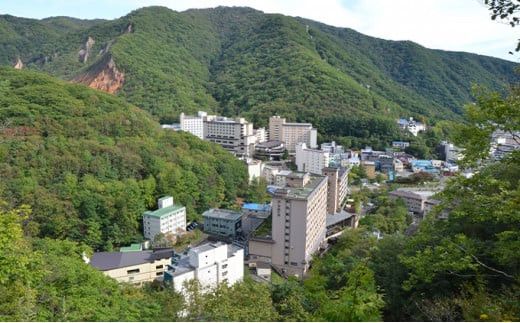 北海道登別市 地域限定旅行クーポン 300,000円分 | 日本旅行 トラベルクーポン 納税チケット 旅行 宿泊券 ホテル 観光 旅行 旅行券 交通費 体験 宿泊 夏休み 冬休み 家族旅行 ひとり旅 カップル 夫婦 親子 登別市旅行