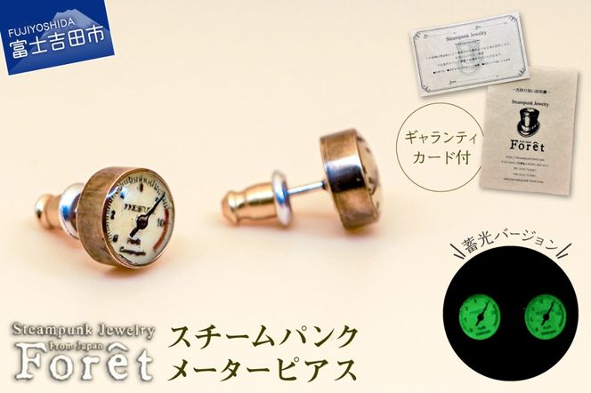 Steampunk スチームパンク メーターピアス ジュエリー シルバー アクセサリー ハンドメイド 両耳用 山梨 富士吉田