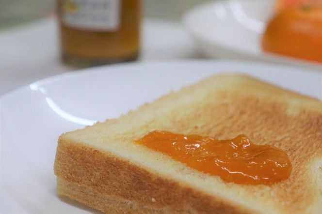 【2026年3月以降順次発送】数量限定！店主にお任せ 無添加 柑橘ジャム140g×3個  DB028