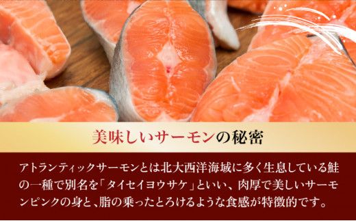 とろとろサーモン地獄漬100g×3個 サーモン アトランティックサーモン 鮭 シャケ 海鮮キムチ キムチ ヤンニョムジャン 冷凍 ふるさと納税 北海道 登別市