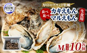 牡蠣 厚岸のブランド牡蠣 食べ比べ 生食用 カキえもん マルえもん Mサイズ 各10個  [ 魚貝類 海鮮 海のミルク 国産 生食用殻付き牡蠣 まろやか クリーミー 食べやすい品種 海の香り 牡蠣の酒蒸し 焼き牡蠣  ]