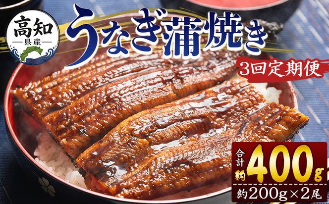 うなぎ 定期便 3回 蒲焼き 約200g 2尾 3回 高知県産 養殖 魚介 国産 海鮮 魚 かばやき 鰻 ウナギ 惣菜 おかず お手軽 加工品 加工食品 冷凍 Wfb-0050
