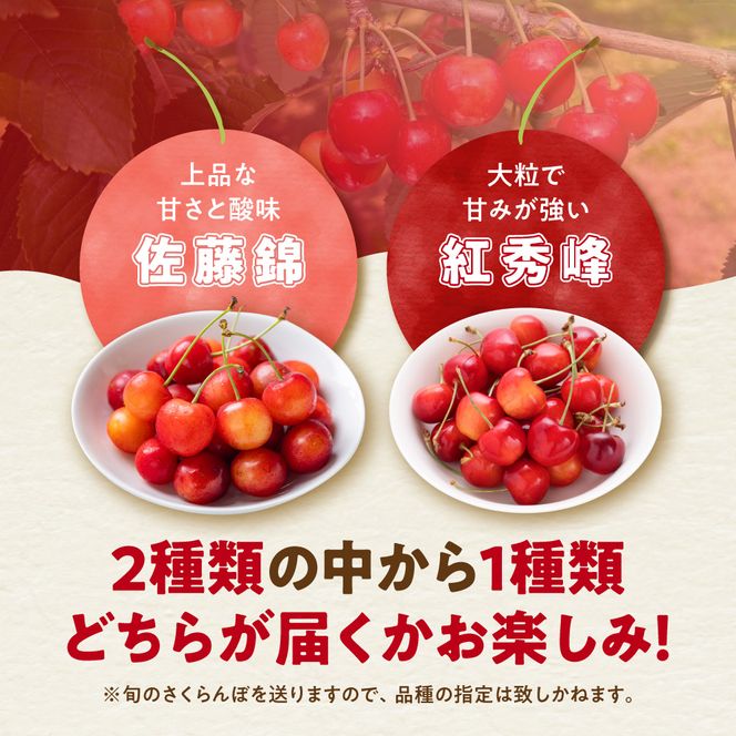 【先行予約：2027年初夏発送】さくらんぼ 毎年大好評！こだわりの東谷農園 余市産 さくらんぼ 1kg_Y037-0347