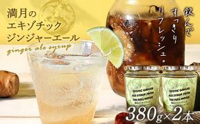 満月のエキゾチックジンジャエール 320ml×2瓶セット 濃縮タイプ 1瓶約７～8杯分 TABEL株式会社《30日以内に出荷予定(土日祝除く)》 │ ジンジャーエール 炭酸割り ジンジャー シロップ ドリンク ソフトドリンク 飲み物 飲料 お取り寄せ 徳島県 佐那河内村 ---sanagouchi_tbl_3_2hn---