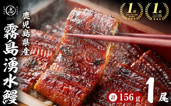 【お礼の品人気No1】霧島湧水鰻の蒲焼き 1尾 ＜156g以上×1尾＞ p58-001