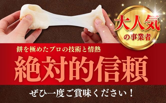 【12回定期便】令和7年度産 精米 夢つくし 10kg /築上町【アルク農業サービス合同会社】 米 こめ 白米[ABAB013]