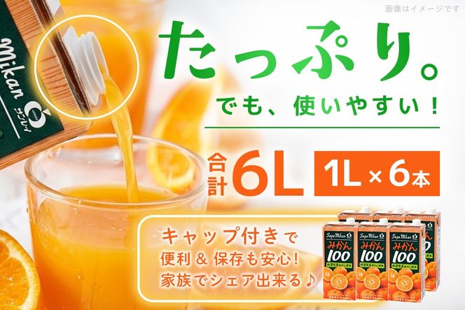 みかん100 1L×6本入り【みかんジュース 蓋付 天然 果汁100％】(H116234)