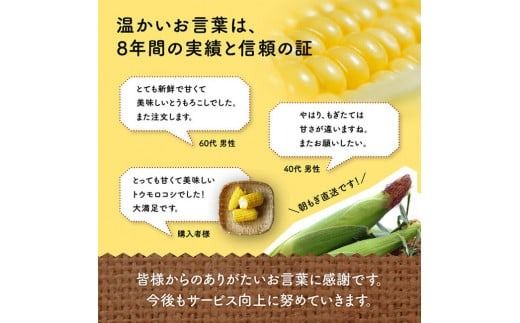 【令和8年発送】宮崎県産とうもろこし　井上農園産スイートコーン(ゴールドラッシュ)4.5kg×2 【 トウモロコシ スィートコーン 2026年発送 先行予約 数量限定 期間限定 】 [C03902]
