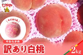 【2026年産】白桃 品種おまかせ 訳あり2kg(やわらかめ) 松栗提供 山形県 東根市　hi062-059