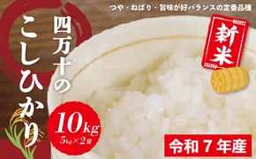 米 10kg 【 新米 令和7年産 】 四万十 の こしひかり ( 5kg ×2袋) 国産 1等米 予約 コシヒカリ 精米 お米 白米 ごはん ご飯 おいしい ふっくら 高知県 高知 四万十市 しまんと 土佐【2025年9月より順次配送】25-149