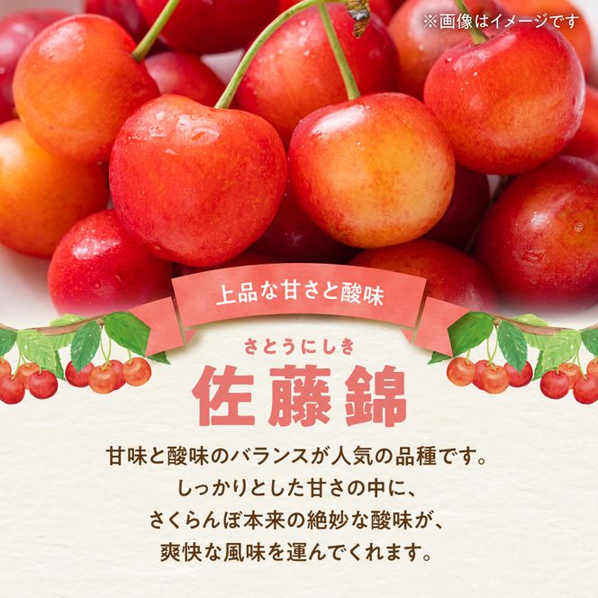 【先行予約：2027年初夏発送】さくらんぼ 毎年大好評！こだわりの東谷農園 余市産 さくらんぼ 1kg_Y037-0347