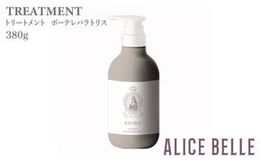 015B581 アリスベル トリートメントボーテレパラトリス 380g シャンパンフルーティーの香り