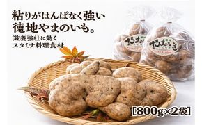 D537徳地やまのいも800g袋(ご家庭用)×2袋